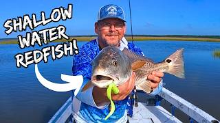 THIS Bayou was LOADED! with these Hard Fighting REDFISH!