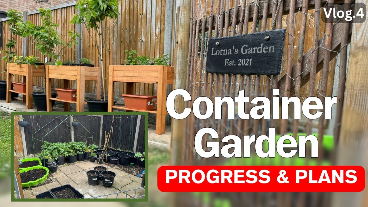 Watch Container Garden: Progress & Plans on YouTube