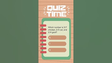 Think you know it all? Put your brain to the test with our fast-paced, fun, and exciting quizzes!