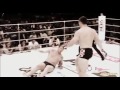 MIRKO CRO COP FILIPOVIC