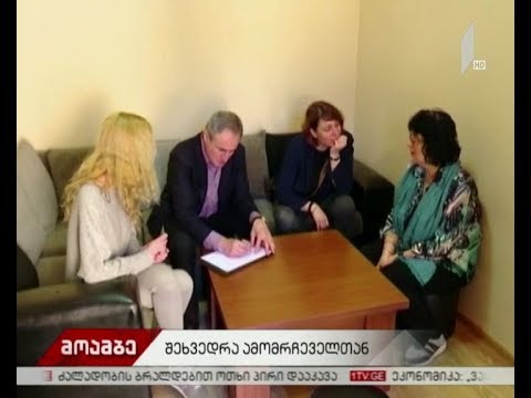 „ევროპული საქართველო“ - თავისუფალი დემოკრატების\" შეხვედრა ამომრჩეველთან
