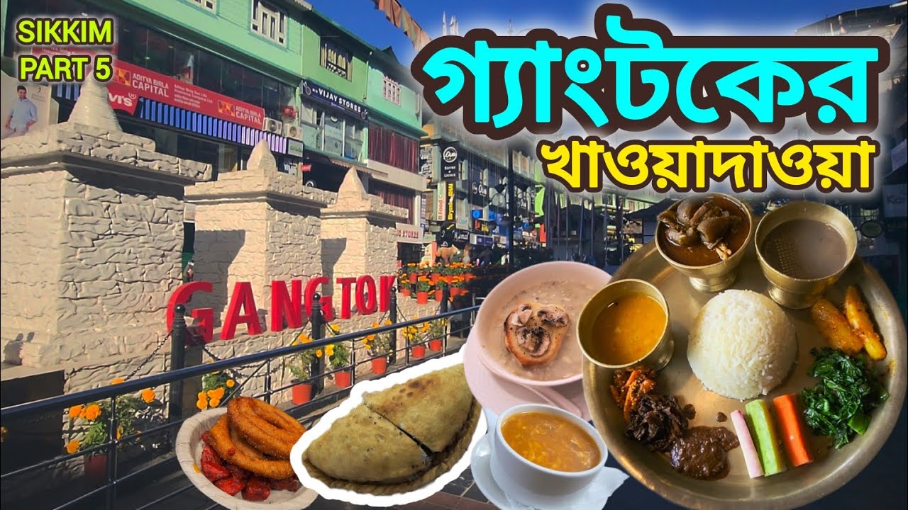 গ্যাংটকের সেরা পাঁচটি খাবার | BEST 5 FOOD IN GANGTOK | SIKKIM PART 5 | Travel Vlog 34