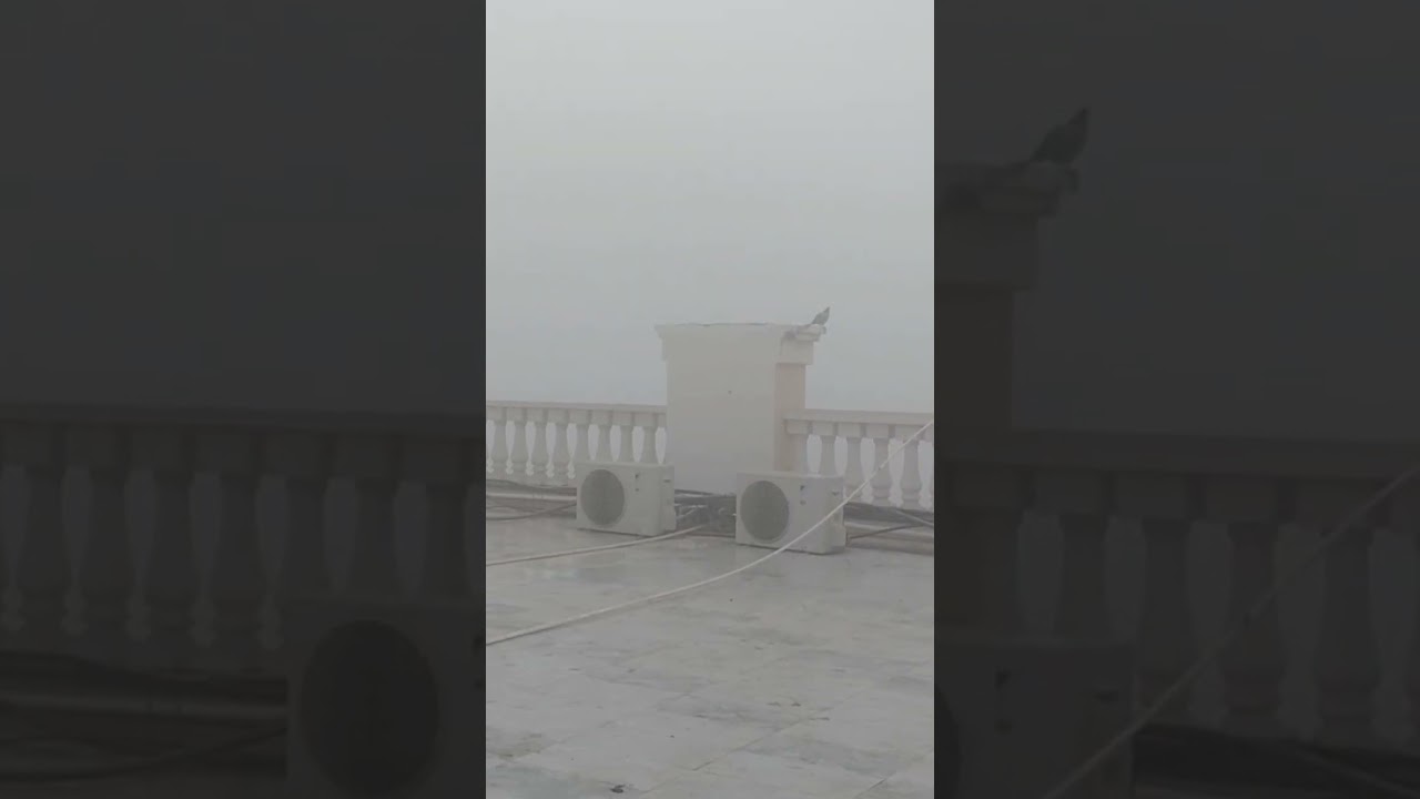 How much fog is there in Sriganganagar this morning?