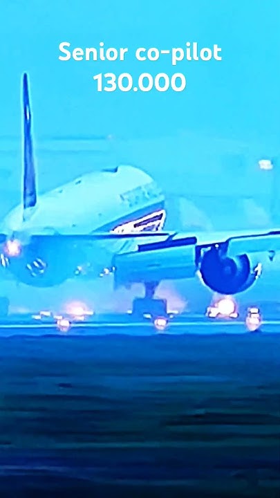 how-much-money-pilots-make-singaporeairlines-airline-singapore