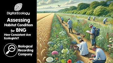 Assessing Habitat Condition for BNG: How Consistent Are Ecologists?