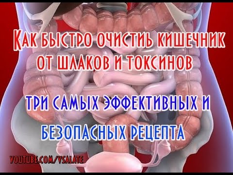 Как от шлаков в домашних условиях почистить кишечник от шлаков и токсинов