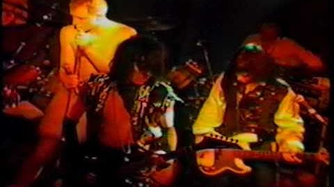 The Meatmen - What's This Shit Called Love
