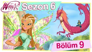 Winx Club - Sezon 6 Bölüm 9 - Yeşil Ejderhanın Tapınağı Tam Bölüm