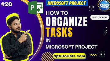 Organizing Tasks In A Schedule In MS Project