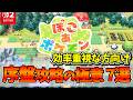 【ぽこポケ】序盤で差がつく！効率爆上げの攻略テクニック7選【初心者必見】