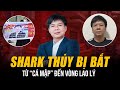 Ton cnh v shark thy b bt t c mp ni ting n vng vng lao l