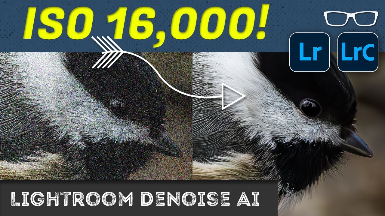 master-lightroom-denoise-ai-with-this-comprehensive-guide-youtube