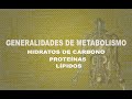 Introducción al Metabolismo (Clase de Google Meet)