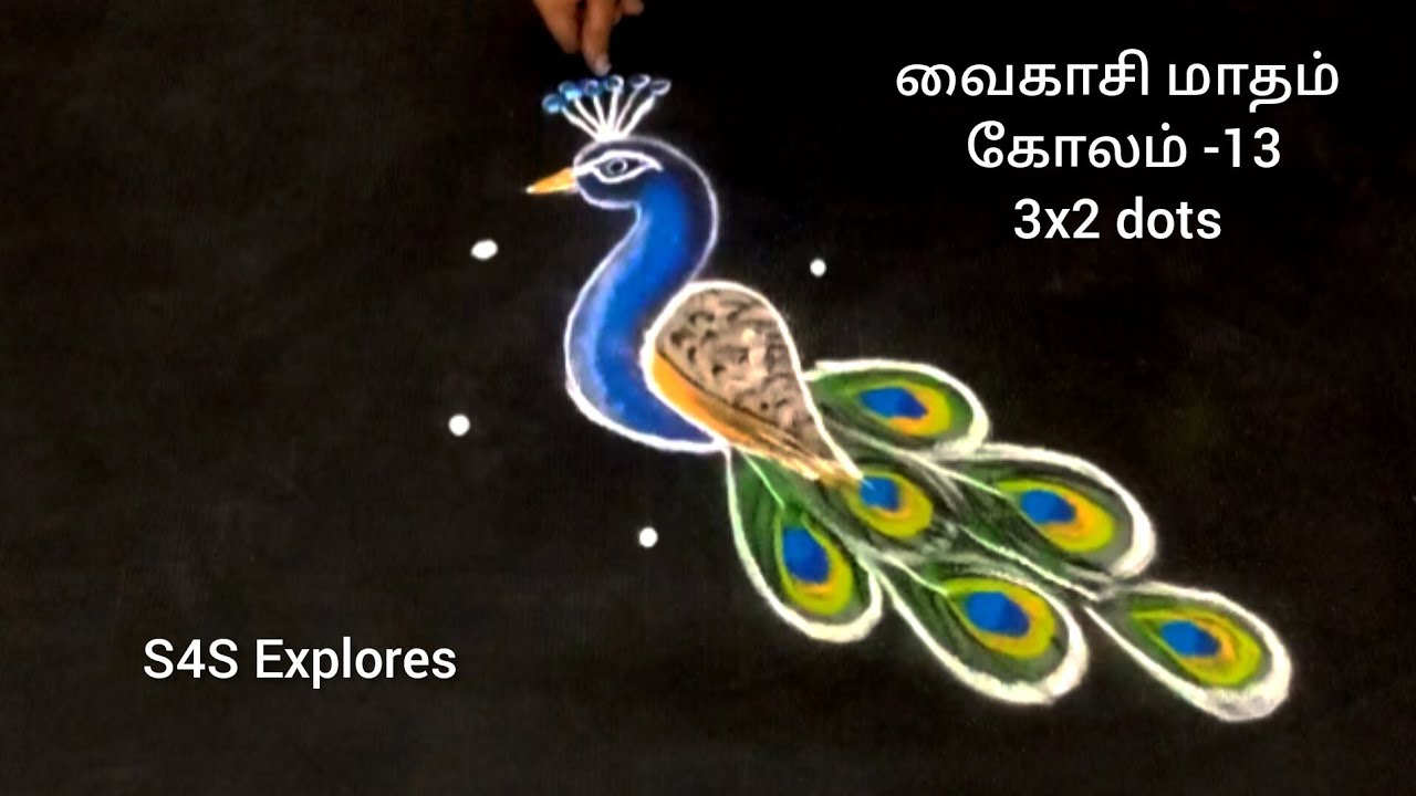 வைகாசி மாதம் கோலம் -13 மயில் கோலம் 3x2 dots #s4sexplores #dailykolam #peacockkolam #colourfulkolam