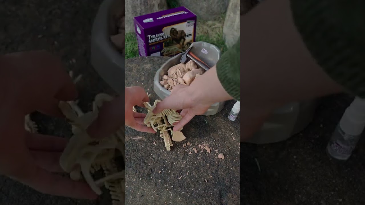 Digging for dinosaur - Science Can