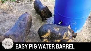 Building an Easy Automatic Pig Watering System