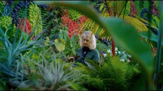 Infinite Herbarium: a botanical experience across art, science and machine learning. screenshot 5