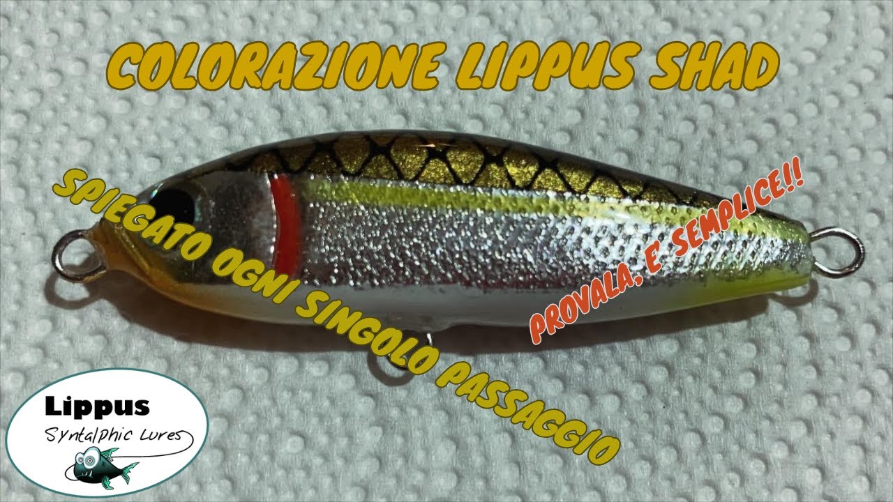 Luse Building Lure Building - Colorazione Lippus Shad - con aerografo - Facilissimo ...