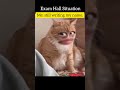 Like how bro?🙂 #funny #relatable #exam #memes #trending #youtubeshorts #shorts