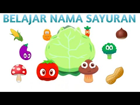 Belajar Nama Sayuran  Animasi Sayur Sayuran  Edukasi 