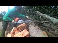 stihl ms 251