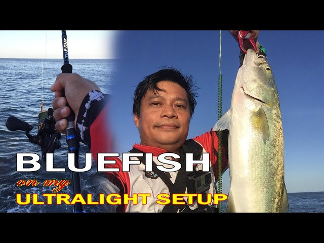 Ultralight fishing  Daiwa BG 2000 with Littma The One Rod 