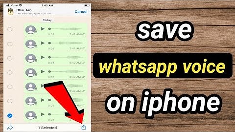 How to save whatsapp voice messages on iphone /download whatsapp voice message on iphone