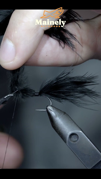 If YOU Don’t Know This Fly, YOU’RE Missing Out!