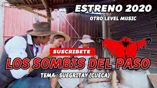 Video thumbnail of "LOS SOMBIS   SUEGRITAY CUECA"