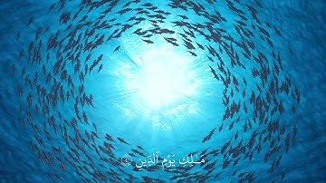 سورة الفاتحة | هزاع البلوشي - Surah Al-Fatihah | Hazza Al-Balushi