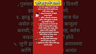 ओम श्री स्वामी समर्थ 🙏🌺#स्वामी #marathi #motivationtips #tips #motivation om sri Swami samarth