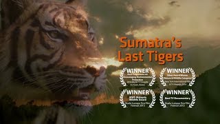 Sumatra's Last Tigers