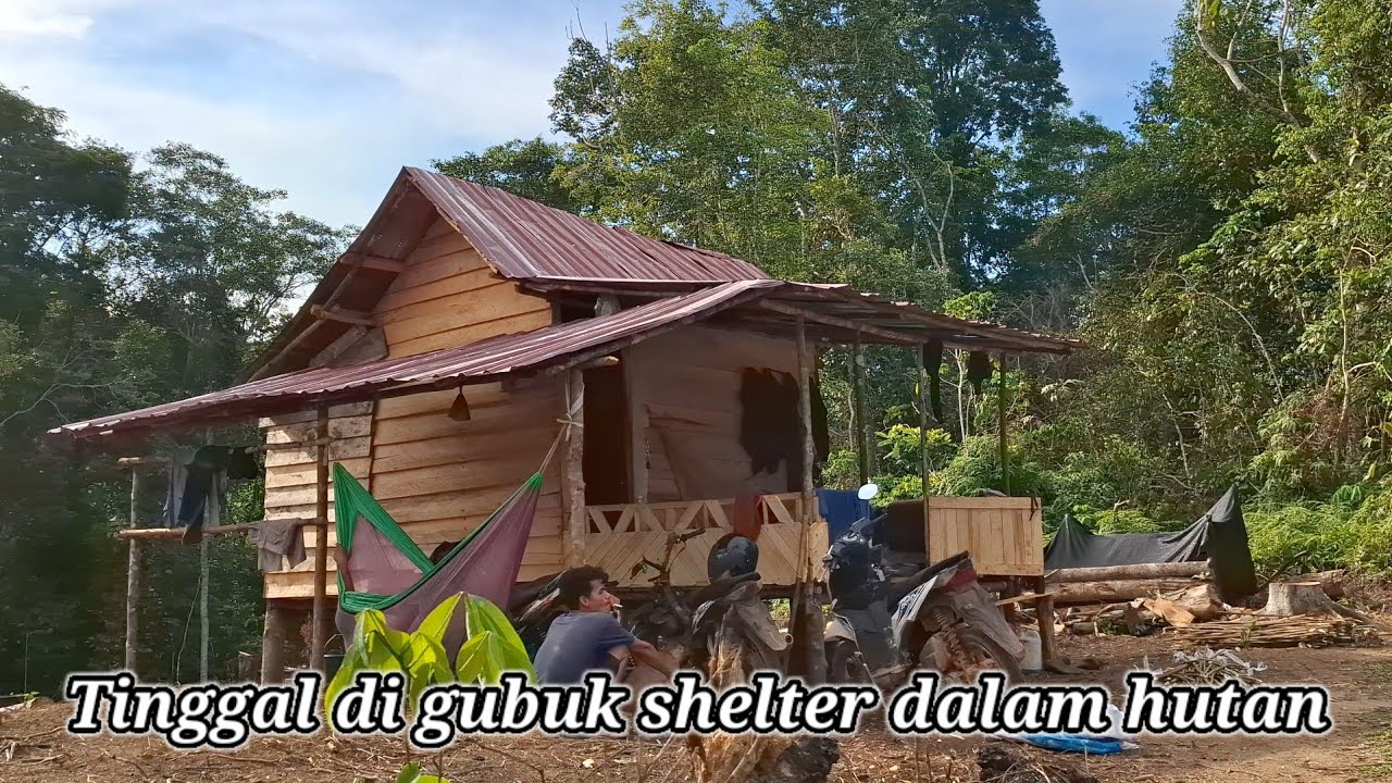 Tinggal di hutan untuk mempersiapkan masa depan