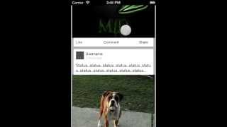 FB Gallery Demo screenshot 4