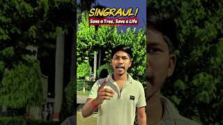 Save 🌴 trees.then save Singrauli #singraulireels #environment #savetrees #quotes #viral #shorts