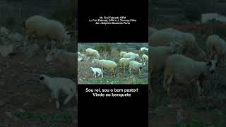 Video-Miniaturansicht von „Vou sair pelos prados buscando - S. Paulo Schola Cantorum“