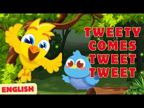 Tweety comes tweet