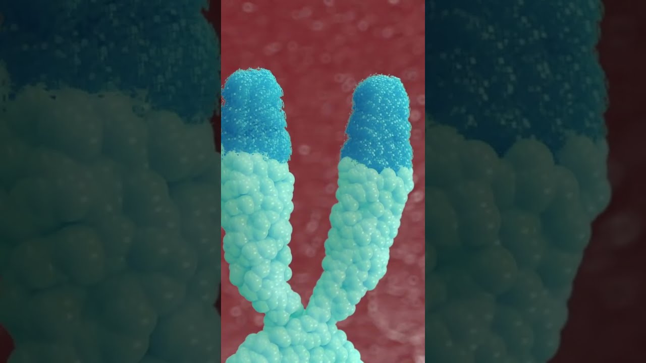 Epitalon Debunking Telomere Extension Claims