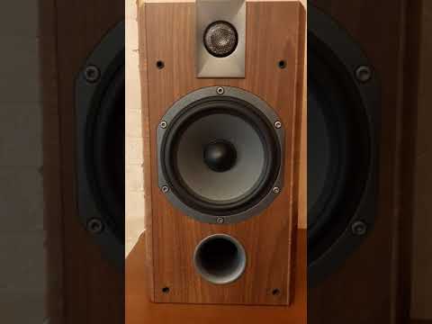 Focal chorus 706