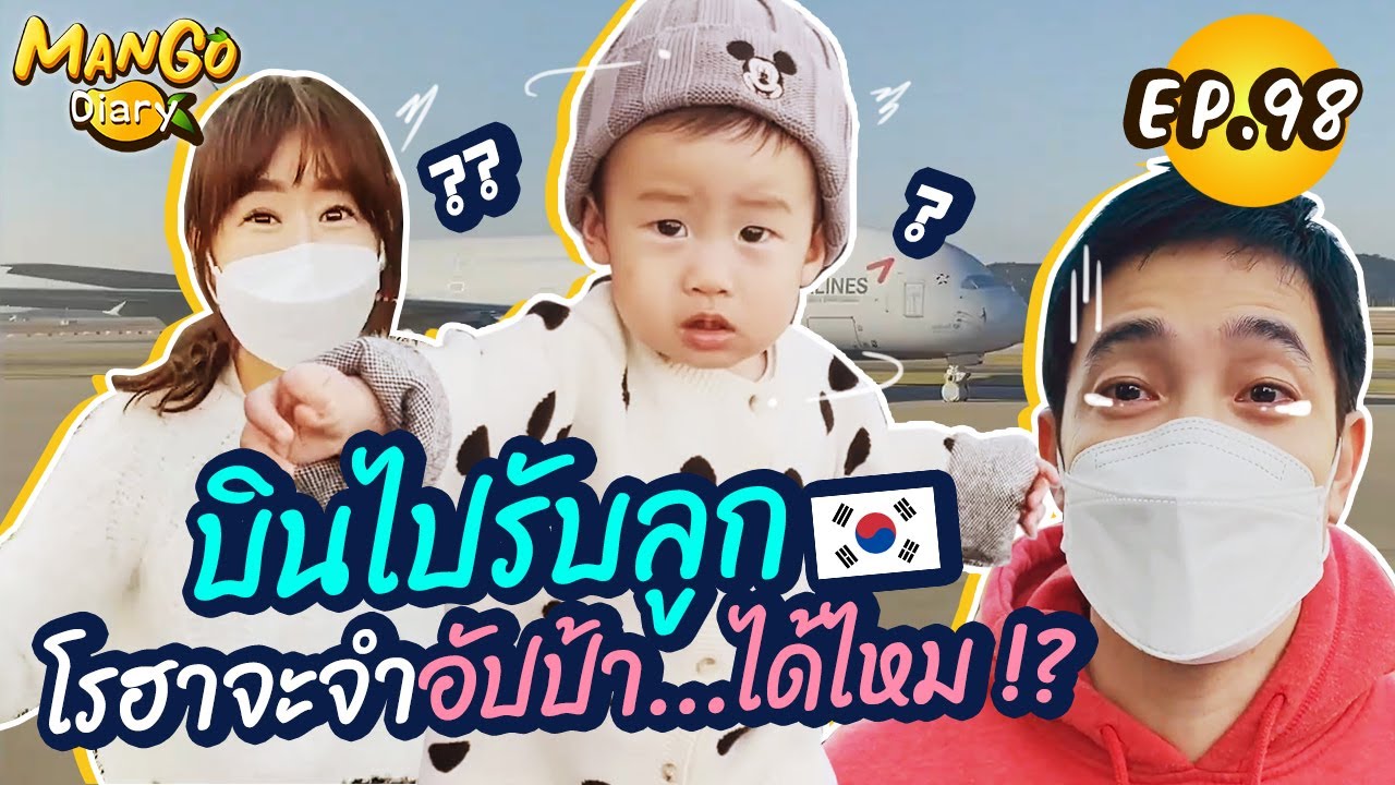 Mango Diary Ep.98 | อปป้าบินไปรับมะม่วงกับโรฮา คิดถึงไม่ไหว โรฮาจะจำอัปป้าได้ไหมนะ !? ✈️🇰🇷