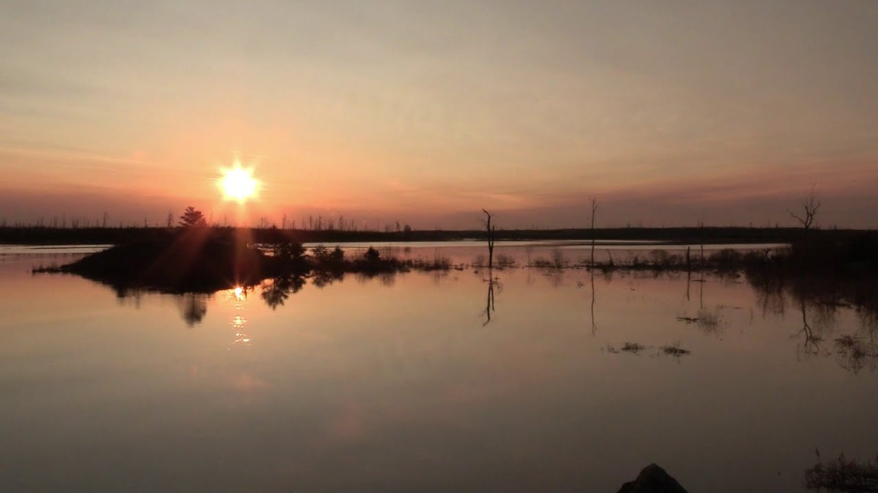 Council Fire - Joe Paulik