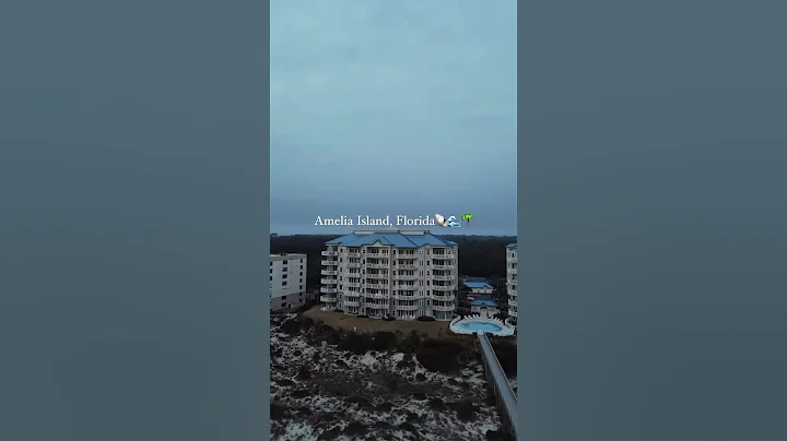 If you're looking for a beach destination with plenty of charm, Amelia Island has you covered.