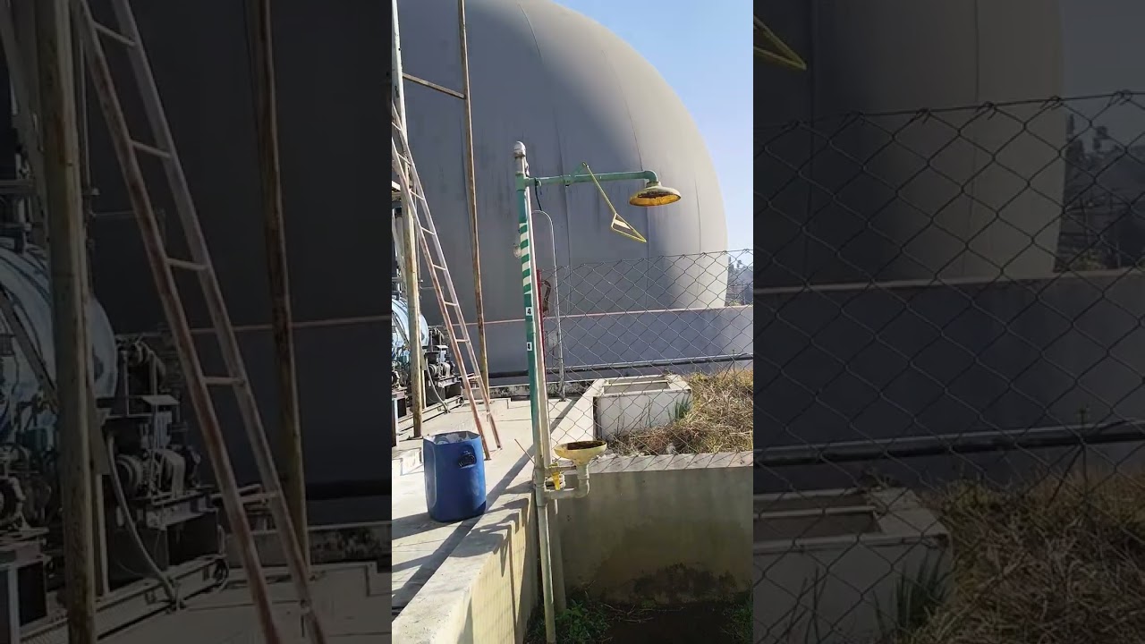 Biogas scrubber to gasflare and gas older and Digester system free biogas and electricity generation