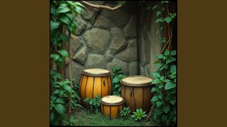 Download Lagu Back to the jungle MP3