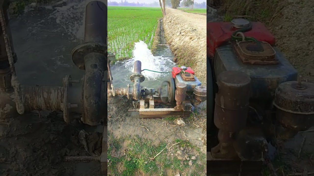 সেলো মেশিন। shallow machine 