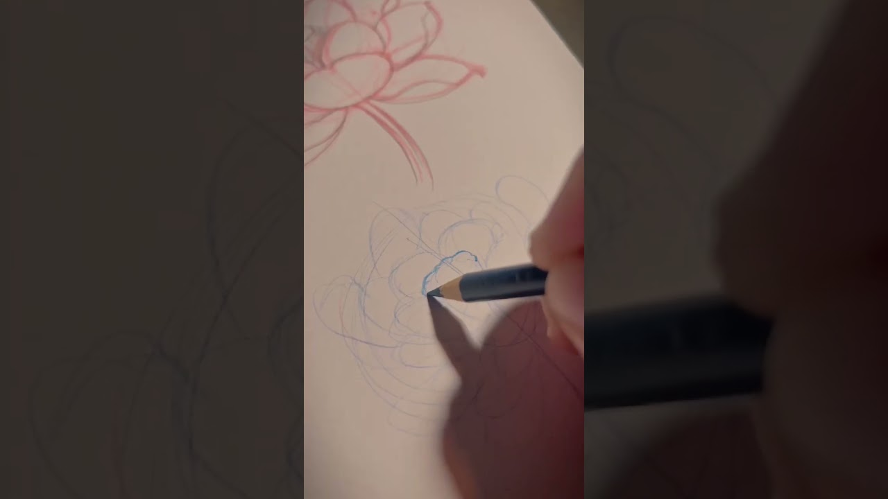 Drawing a Lotus Flower 