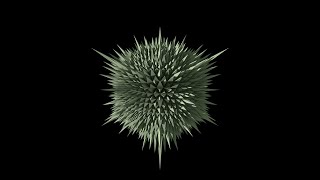 Stellated polyhedron with different rays