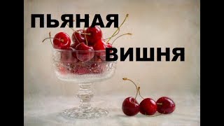 Пьяная Вишня . Консервируем Десерты Для Взрослых Пьяная Вишня . Консервируем Десерты Для Взрослых