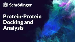 Protein-protein Docking and Analysis