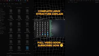 Explain Linux Structure #linuxhabit #linux #coding